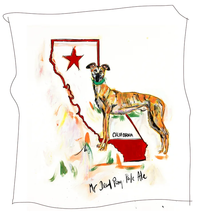 Third Brew Dog brand illustration, focusing on packaging details and vibrant colors