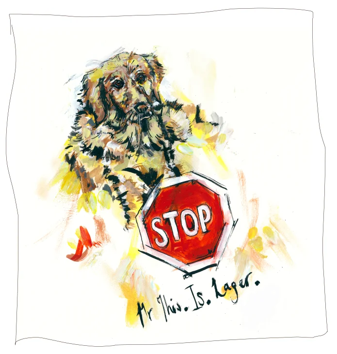 Fourth Brew Dog brand illustration, focusing on packaging details and vibrant colors